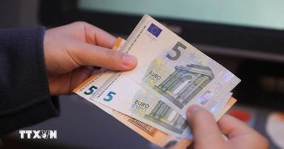 Tầm quan trọng của đồng euro trên thị trường tài chính toàn cầu ngày càng tăng