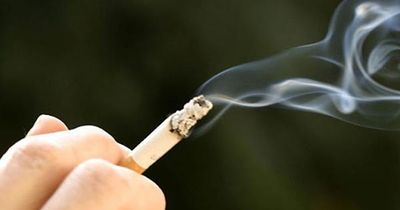 Dự kiến thí điểm thuốc lá nung nóng tại Trung Quốc trong năm 2026