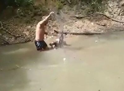 Dùng tay không bắt lươn điện, người đàn ông bị giật ngã xuống sông