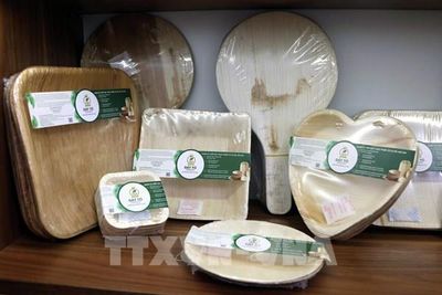Mo cau từ phế phẩm thành hàng xuất khẩu