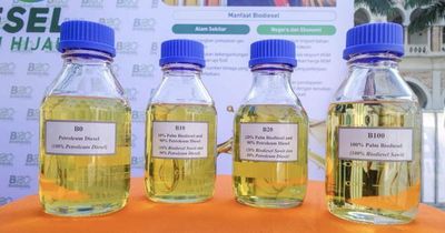 Malaysia bán nhiên liệu sinh học B15 cho ô tô