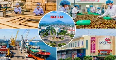 Gia Lai: Sản xuất công nghiệp, xuất khẩu và bán lẻ đồng loạt tăng
