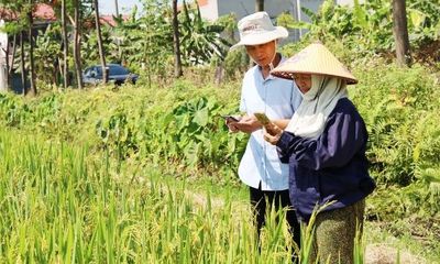 Ứng dụng thiết bị thông minh quản lý dịch hại cây trồng