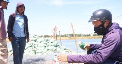 Nỗ lực chống nhiễm mặn để bơm nước đổ ải