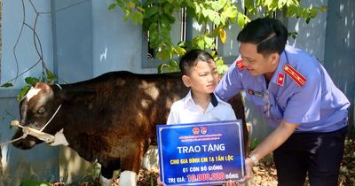 Tặng bò giống cho các gia đình khó khăn ở xã Gò Nổi
