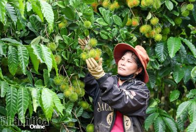 UBND tỉnh Khánh Hòa phê duyệt đề cương lập Đề án xây dựng nông thôn mới