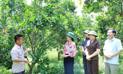 Lãnh đạo tỉnh khảo sát tại xã Thống Nhất