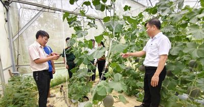 Mô hình 'Ngày thứ bảy đến với Nhân dân' ở Cát Tiên 2