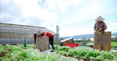 Nông sản trách nhiệm - yêu cầu từ 2 phía