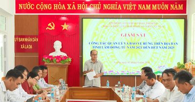 HĐND tỉnh Lâm Đồng giám sát công tác bảo vệ rừng tại Công ty Lâm nghiệp Bình Thuận