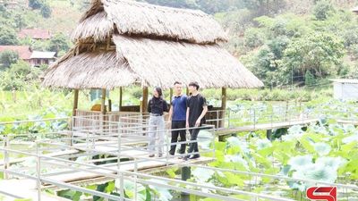 Làm giàu từ mô hình du lịch sinh thái
