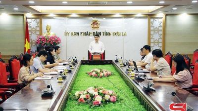 Tổng rà soát văn bản quy phạm pháp luật của tỉnh
