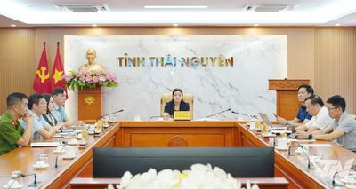 Tăng cường đấu tranh, xử lý vi phạm quyền sở hữu trí tuệ