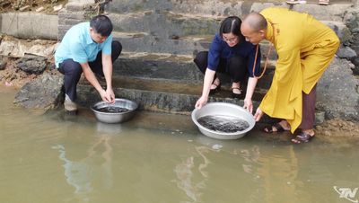 Thả 145.000 con cá giống tái tạo nguồn lợi thủy sản