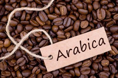 Giá cà phê hôm nay 2/6: Giá Arabica giảm tuần thứ 5 liên tiếp