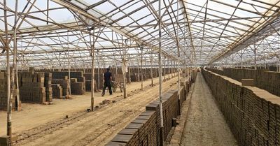Đắk Lắk: Đẩy nhanh lộ trình chấm dứt lò gạch thủ công, đảm bảo sinh kế cho người lao động