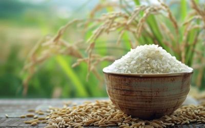 Ngày 2/6: Giá lúa gạo tại Đồng bằng sông Cửu Long ổn định