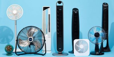 Chọn quạt nào cho phòng khách, phòng ngủ để mát lại tiết kiệm điện?