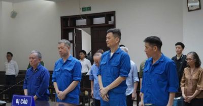 Cựu Chủ tịch và cựu Tổng Giám đốc Tổng Công ty Xi măng cùng được giảm án