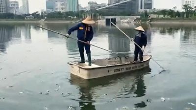 Phường Cầu Giấy kịp thời khắc phục sự cố cá chết ở hồ CV1