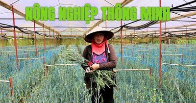 Kinh tế nông nghiệp thông minh - sức mạnh đối đầu với biến đổi khí hậu