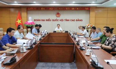 Hội nghị trực tuyến toàn quốc sơ kết thực hiện Công điện số 38 của Thủ tướng Chính phủ