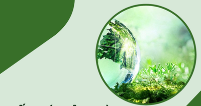 Doanh nghiệp có nhiều cơ sở được cấp giấy phép môi trường như thế nào?