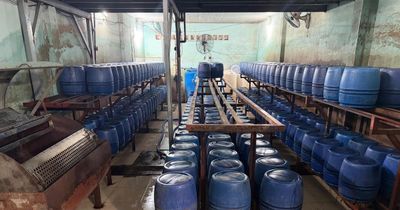 Khởi tố 4 bị can trong đường dây sản xuất giá đỗ dùng 'nước kẹo', tiêu thụ hơn 1.000 tấn