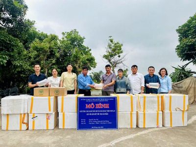 Hải Phòng: Triển khai mô hình nuôi tôm càng xanh toàn đực hai giai đoạn theo chuẩn VietGAP