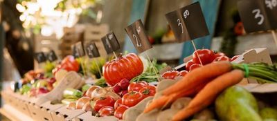 Thị trường nông sản toàn cầu chịu áp lực khi bước vào giai đoạn quyết định của vụ mùa 2026