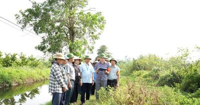 Cưỡng chế kiểm đếm bắt buộc, thu hồi đất phục vụ các dự án trọng điểm ở Hoài Đức