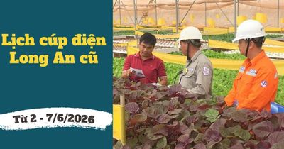 Lịch cúp điện Tây Ninh (Long An cũ) từ ngày 2 – 7/6/2026: Danh sách khu dân cư và tuyến đường bị mất điện xếp hàng dài