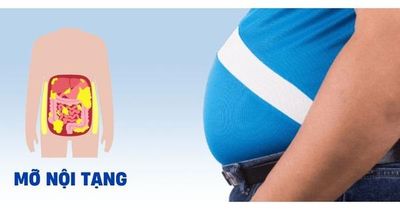 Dư thừa mỡ nội tạng gây nên những bệnh gì?
