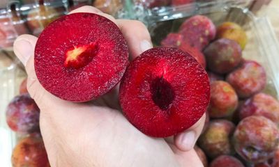 Ăn mận có tác dụng gì với sức khỏe?