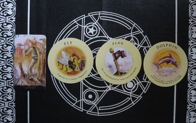 Tarot tuần này: Nhân Mã rung động trái tim, Song Ngư 'xú túi mè' trúng ngay 'bía'