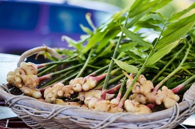 Vị thuốc quen thuộc bổ không kém nhân sâm