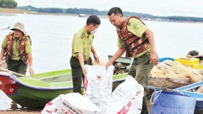 Giải pháp hạn chế cá bè chết hàng loạt ở Đồng Nai