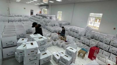 Năm tháng đầu năm 2026, cả nước có hơn 94,8 nghìn doanh nghiệp đăng ký thành lập mới