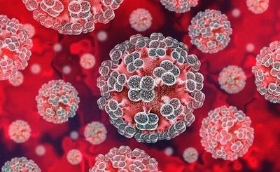 Chuyên gia lên tiếng về 'hiểm họa toàn cầu mang tên virus Hanta'