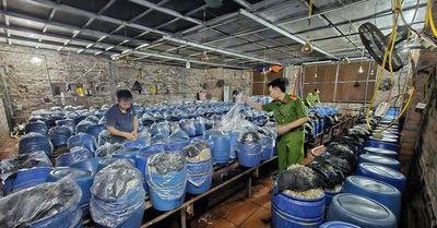 Khởi tố 3 chủ cơ sở sản xuất giá đỗ sử dụng hóa chất cấm đưa gần 1.000 tấn sản phẩm ra thị trường