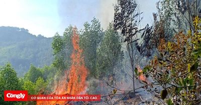 Nâng cảnh báo cháy rừng lên cấp nguy hiểm