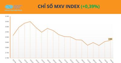 Thị trường cao su khởi sắc nhờ nhu cầu tăng và nguồn cung hạn chế