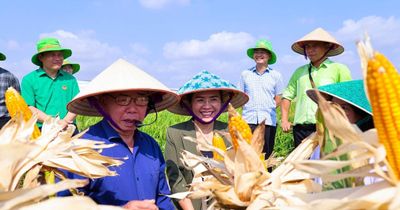 Phó Bí thư Tỉnh ủy Võ Thị Minh Sinh tham quan mô hình nông nghiệp công nghệ cao tại Tập đoàn ThaiBinh Seed
