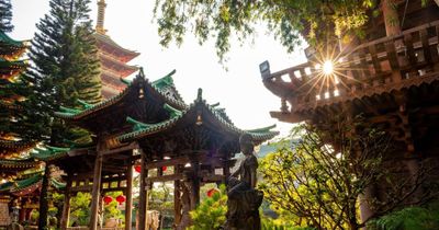 Khám phá ngôi chùa phong cách 'xứ Phù Tang' giữa lòng phố núi Gia Lai