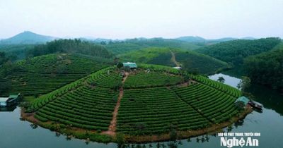 Nghệ An chấm dứt dự án du lịch hơn 1.500 tỷ đồng nằm im suốt 9 năm