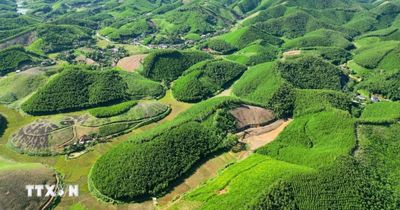 5 tháng, cả nước trồng mới tập trung 112.100 ha rừng