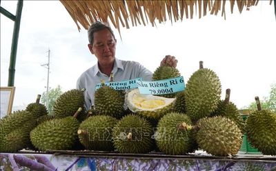 Mã số vùng trồng tạo đòn bẩy cho trái cây xuất khẩu