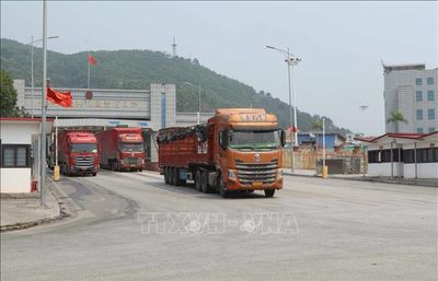 Kim ngạch xuất nhập khẩu vượt 445 tỷ USD trong 5 tháng