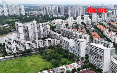 HoREA đề nghị doanh nghiệp khẩn trương đăng ký thông tin 'Hệ thống 45'