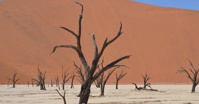 Liên Hợp Quốc cảnh báo về ảnh hưởng thời tiết từ hiện tượng El Nino